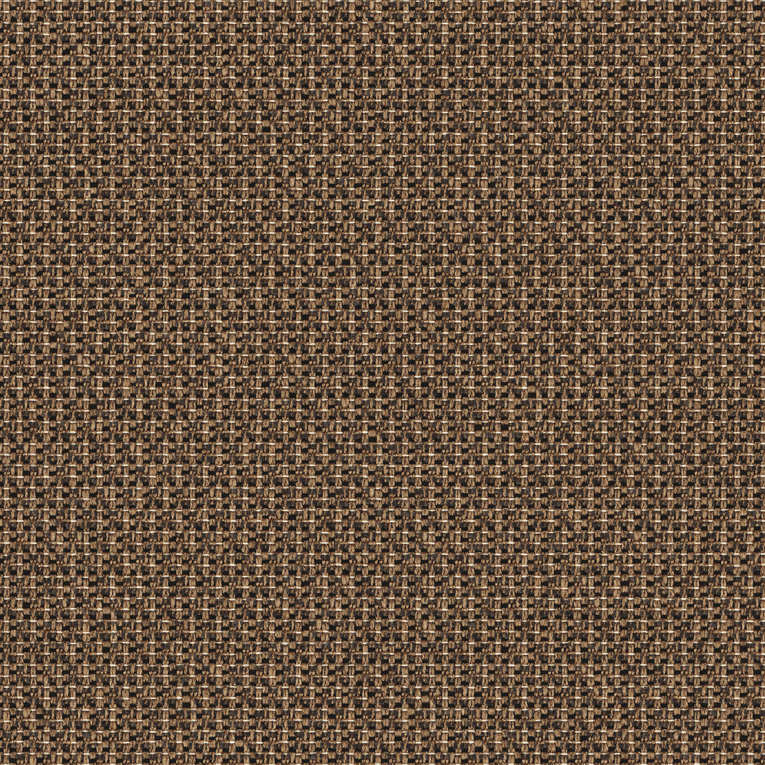 7933