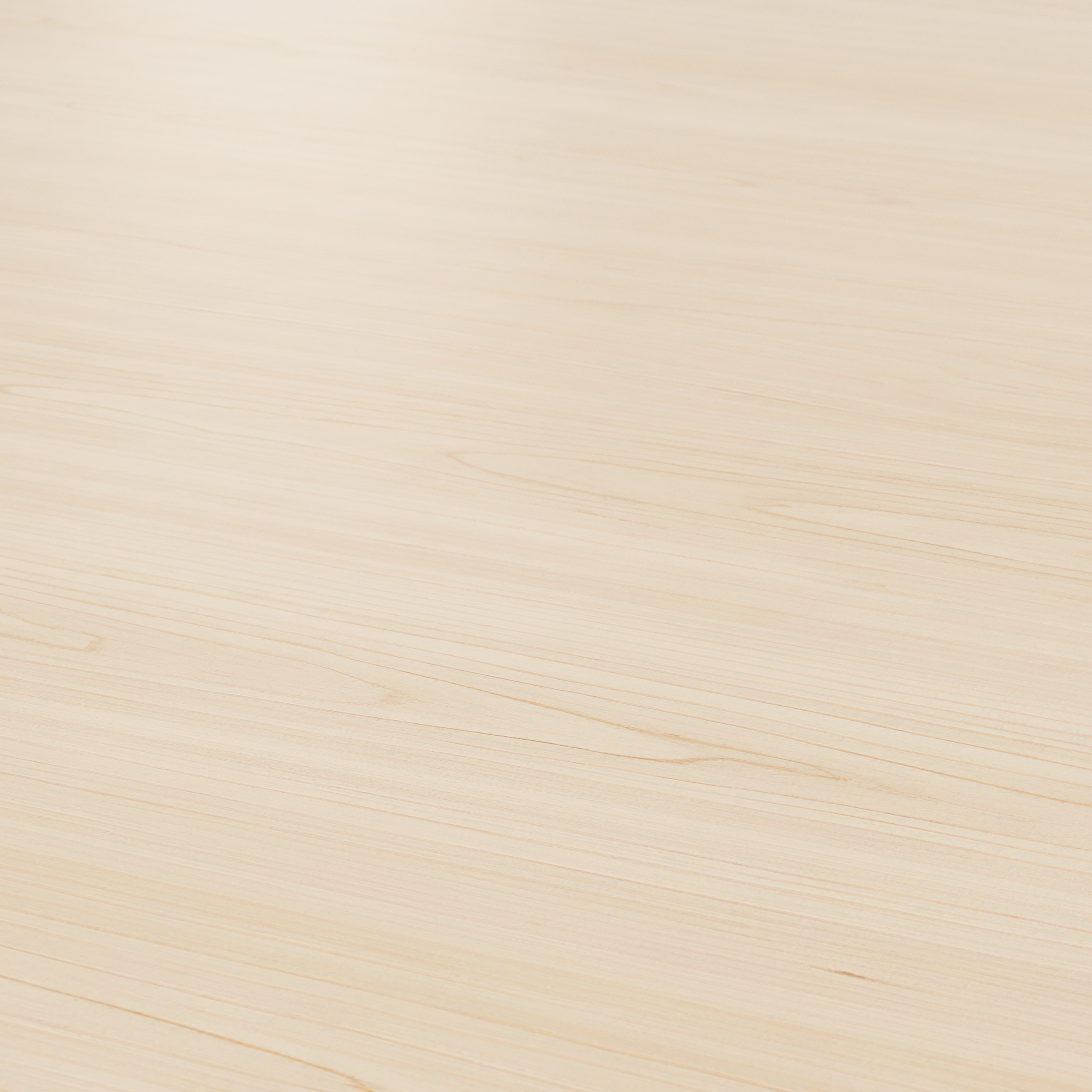 Laminat Birch