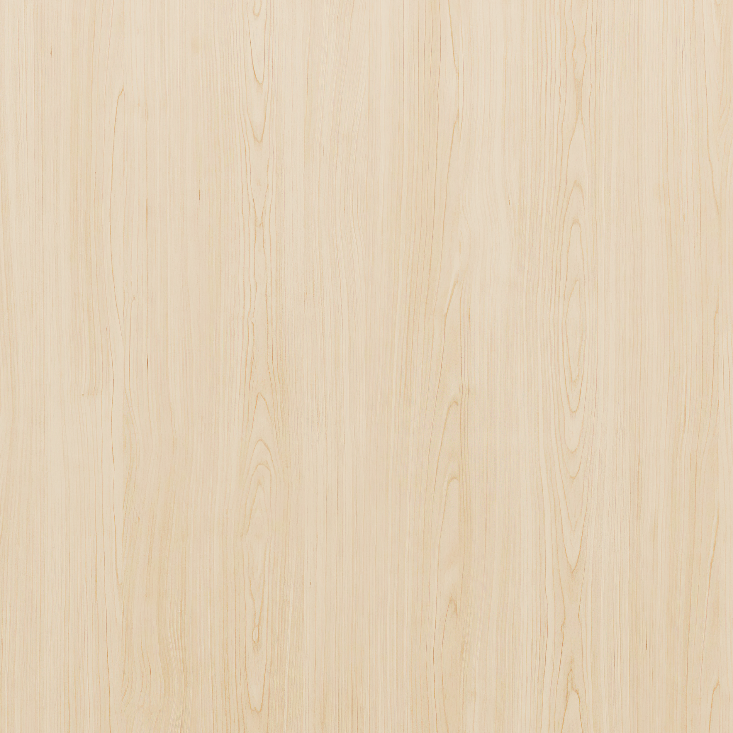 Laminat Birch